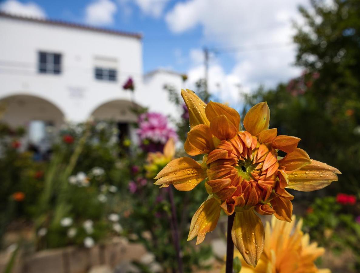 Residencia Quinta Do Poco Guesthouse Sagres Exterior foto